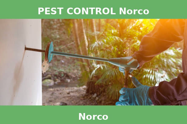 PEST CONTROL Norco